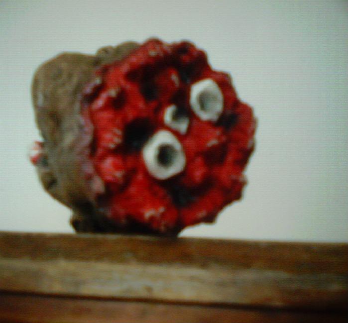 Now for the gory part!